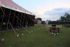 #image_title